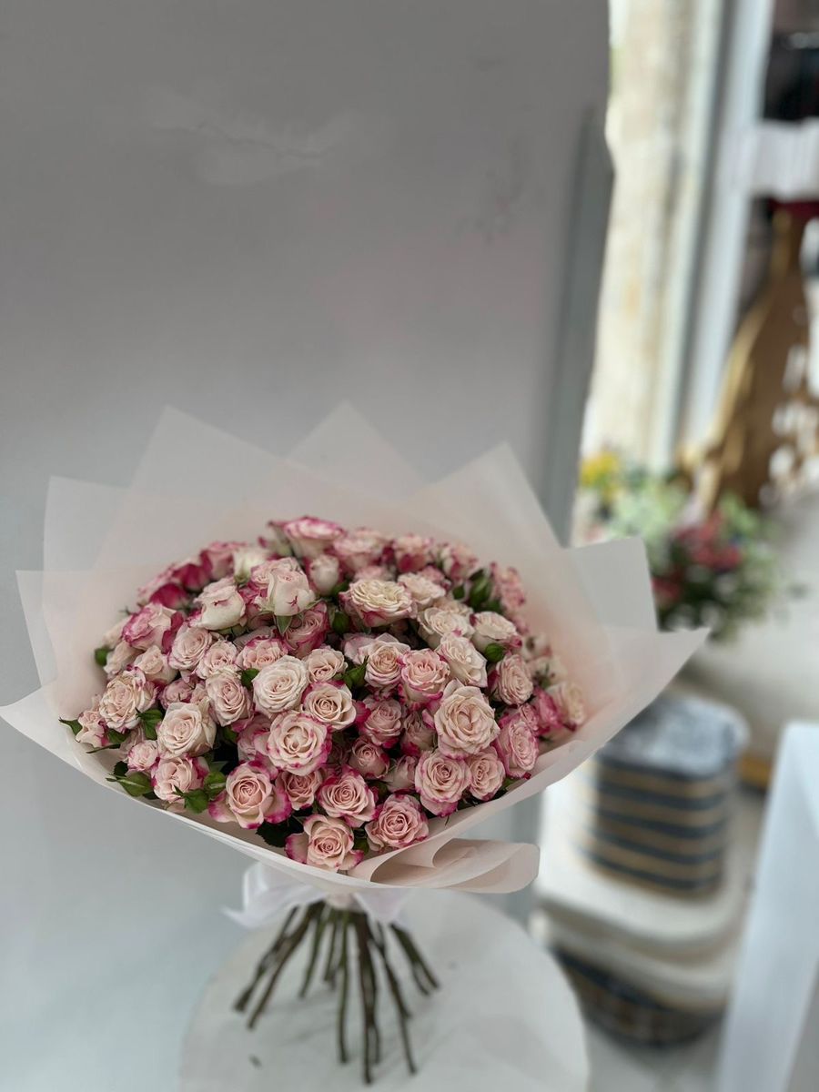 باقه بيبي جوري ١١ – نبض الامتياز