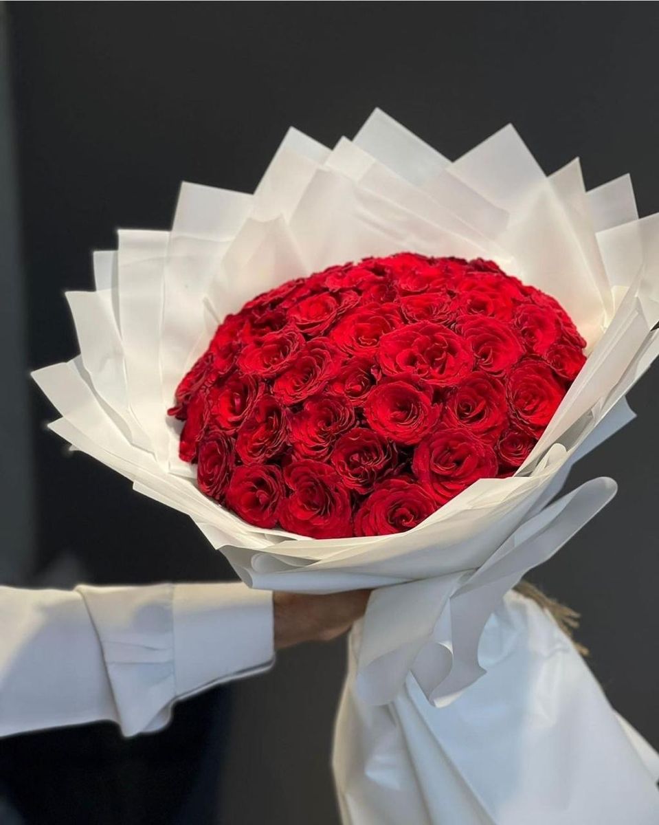 باقه الحب ٨ – نبض الامتياز